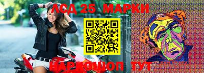 Альфа ПВП Аргун